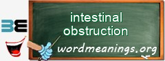 WordMeaning blackboard for intestinal obstruction